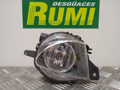 Luce fendinebbia destra - fendinebbia, /